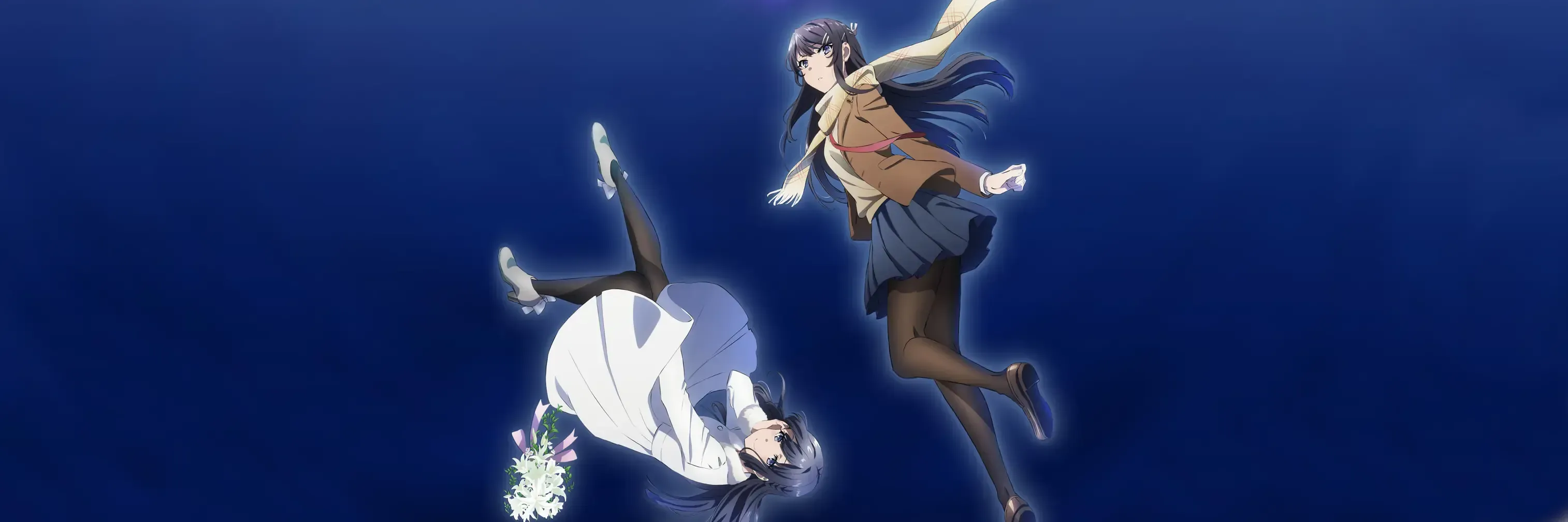 《青春豬頭少年不會夢到懷夢美少女》心得